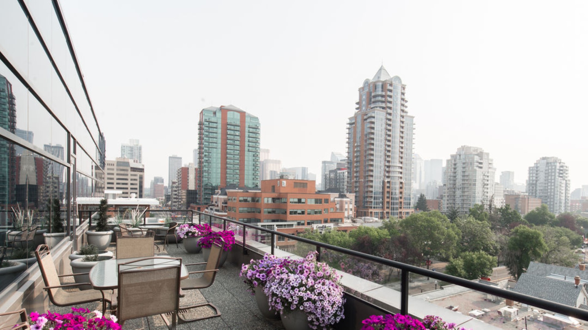 Mount Royal Executive Centre ​ photo 11