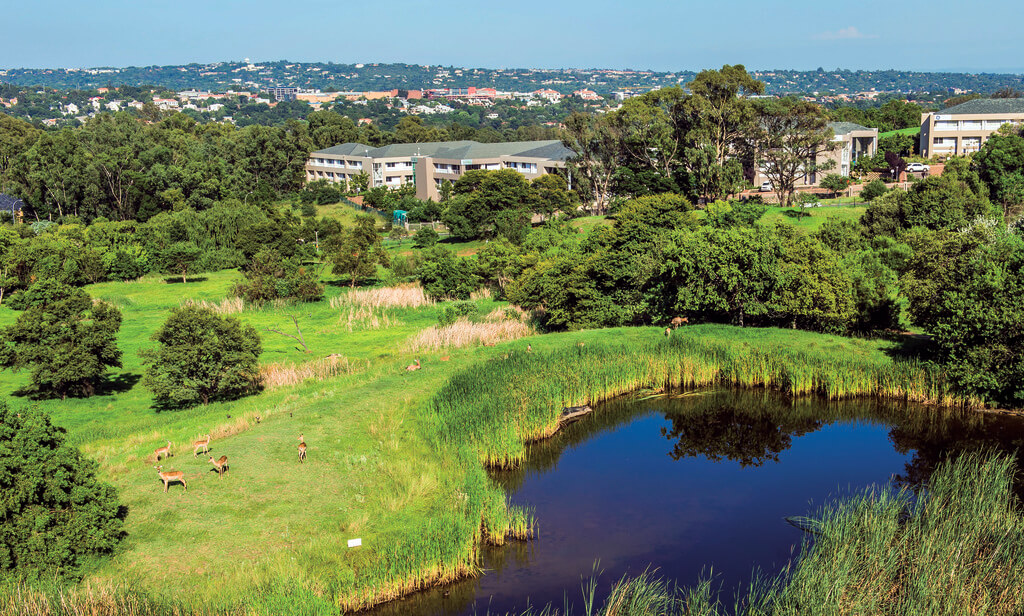The Woodlands Office Park photo 5