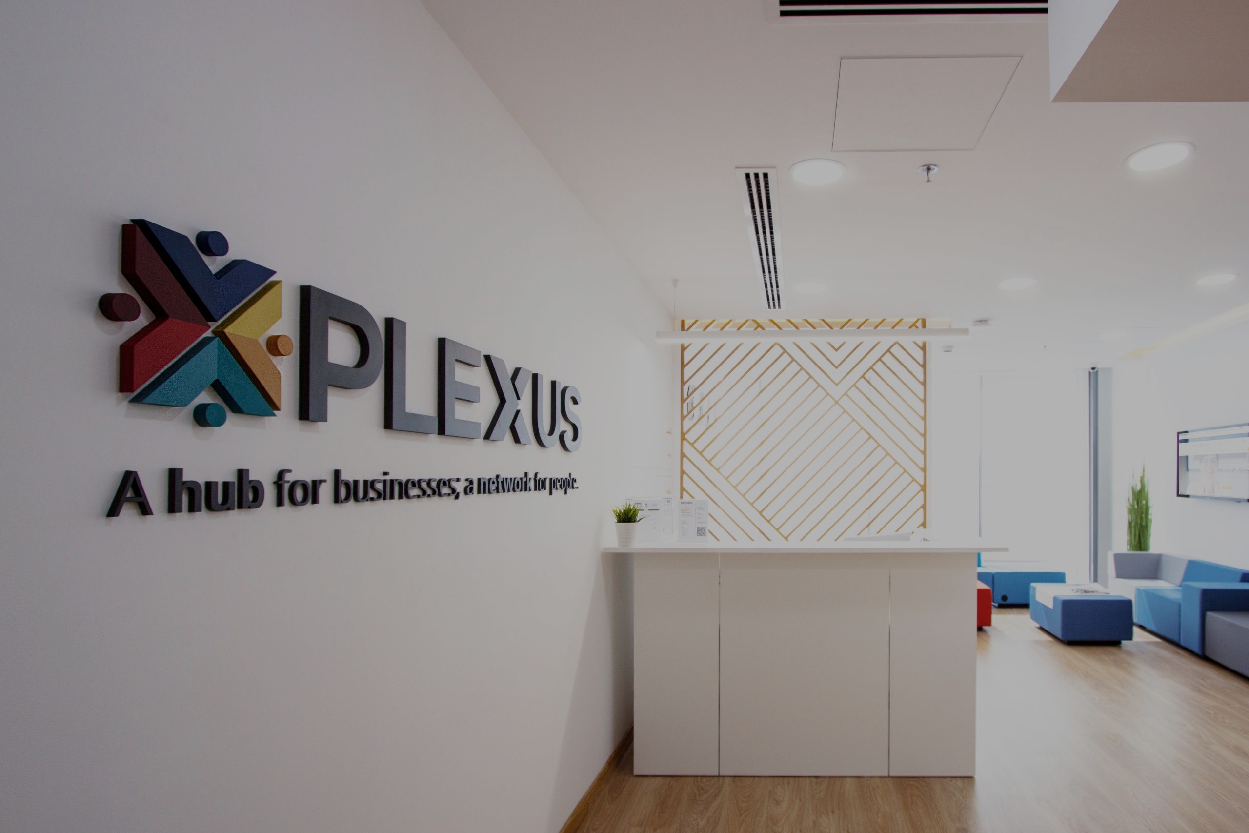 PLEXUS photo 5