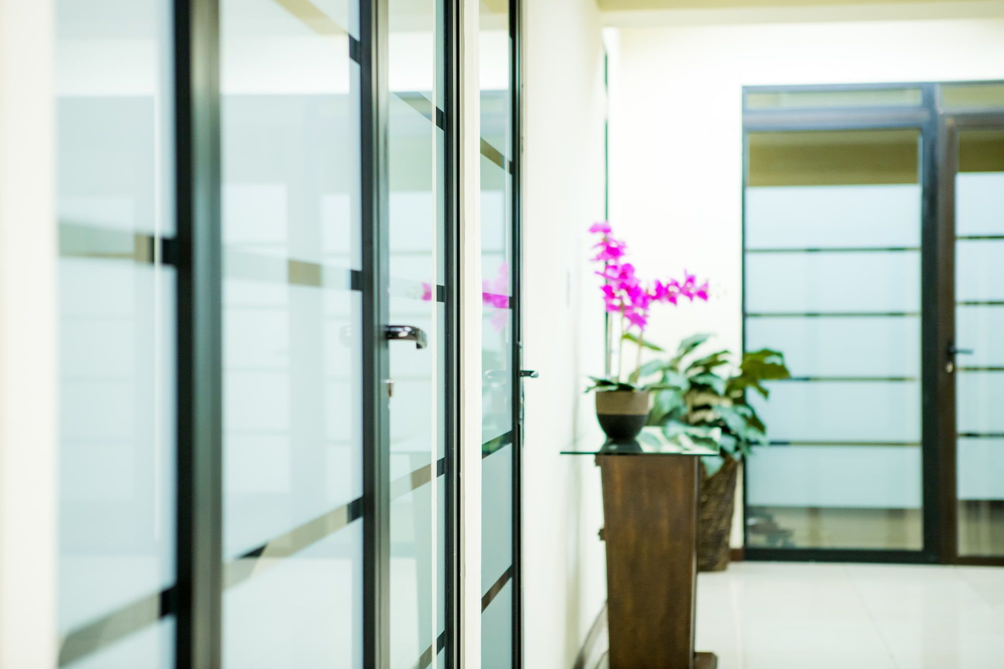 San Benito Business Center photo 6