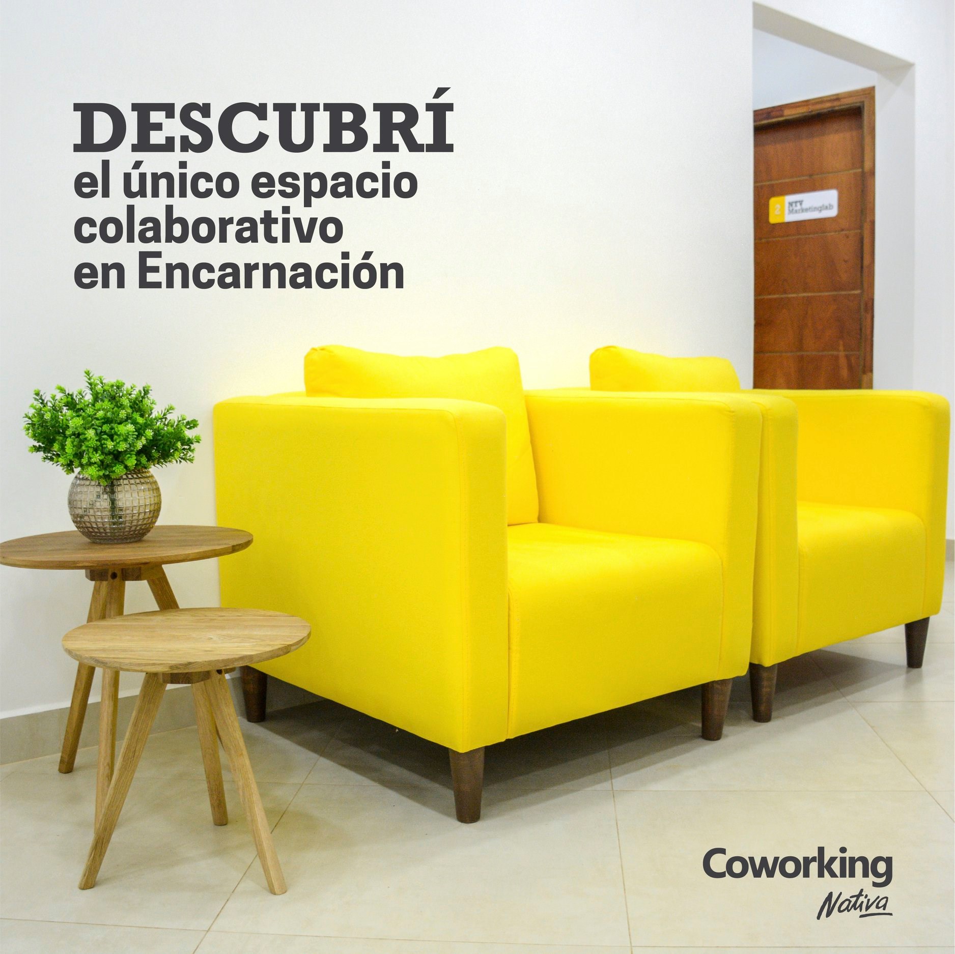 Grupo Nativa photo 4