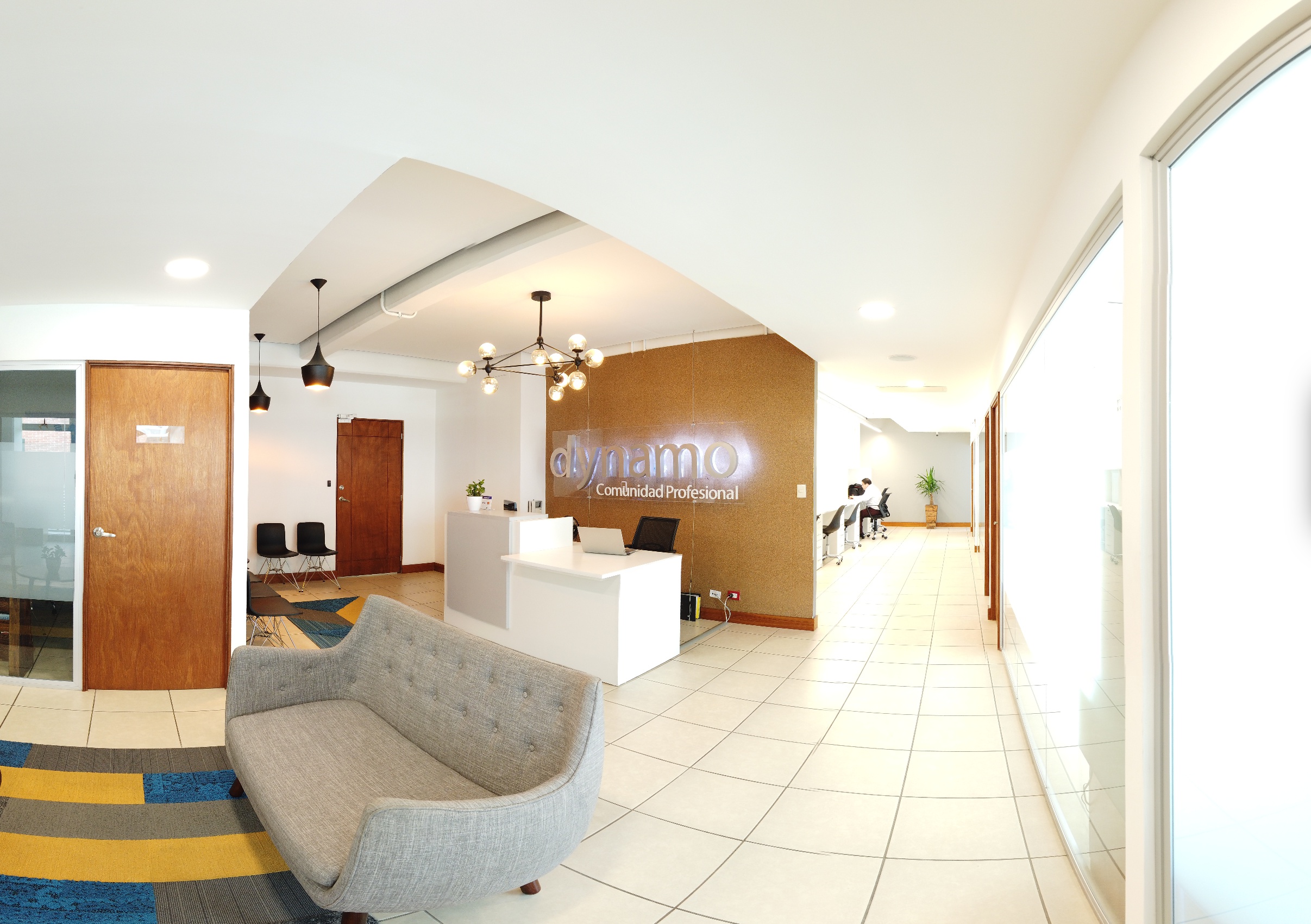 DYNAMO THE ORANGE TREE