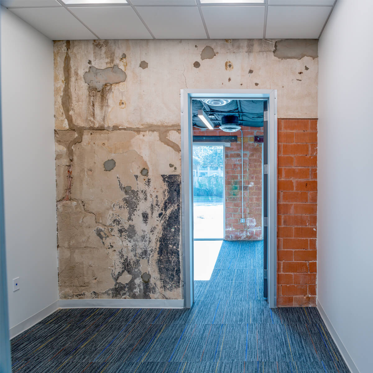 Urban Office Spring Branch Village Houston photo 5