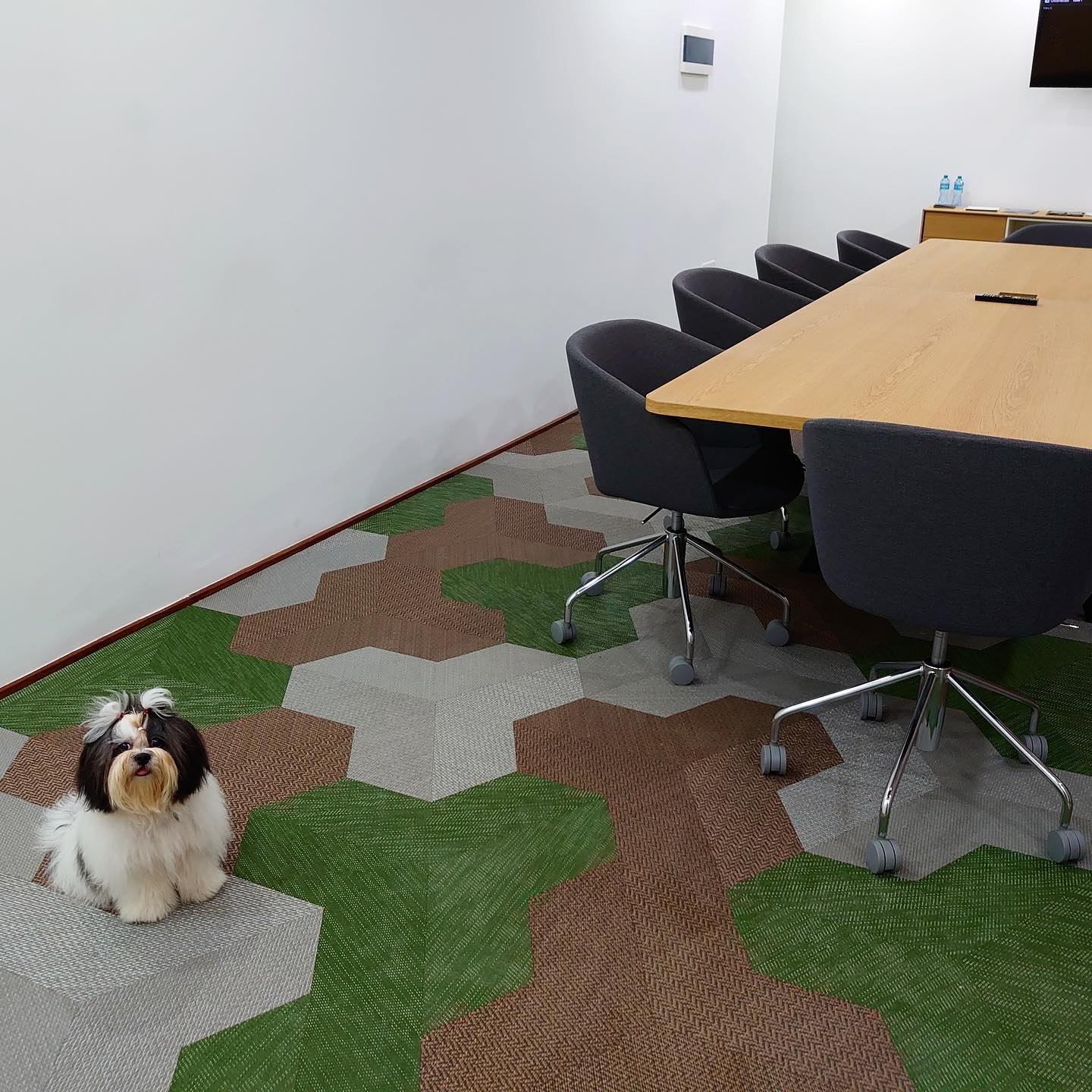 Sapiens Cowork photo 4