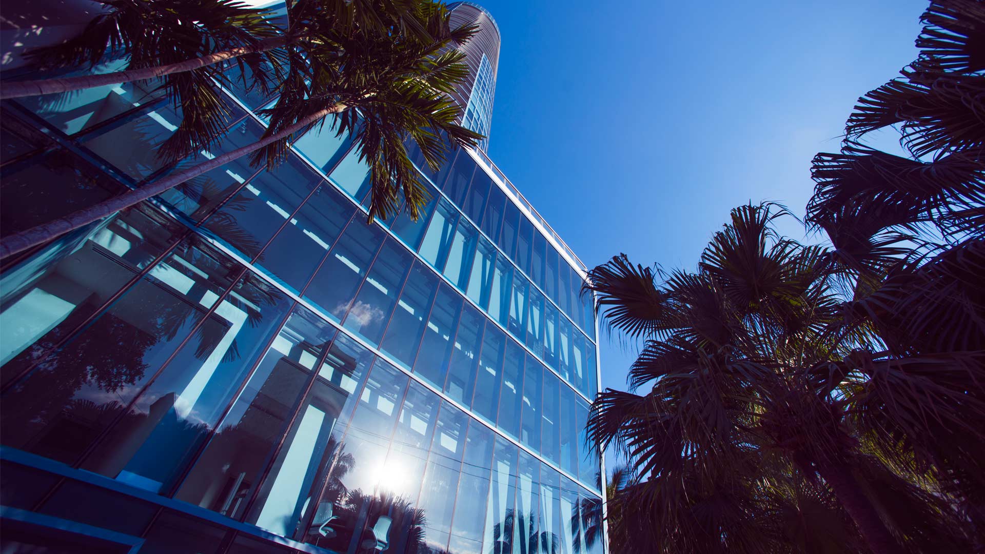 333 Las Olas Way photo 4