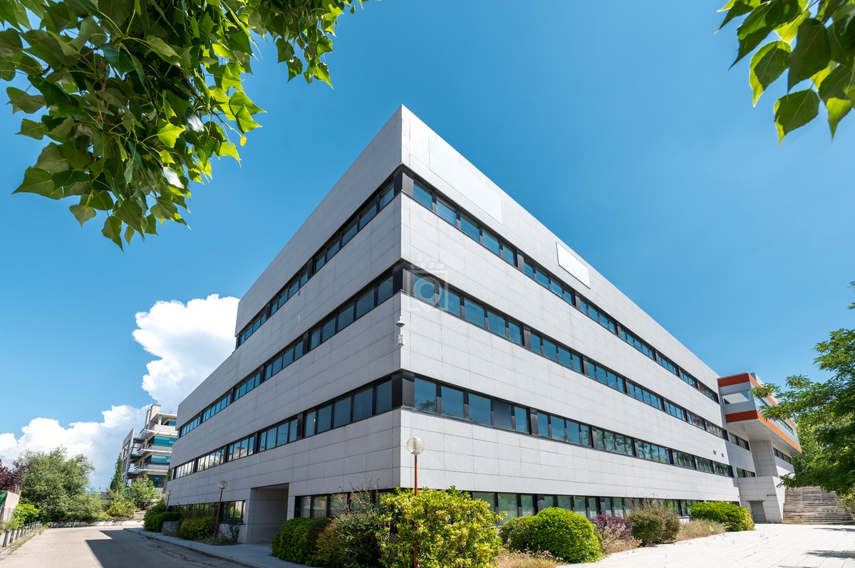 Gabriel Garcia Marquez 4