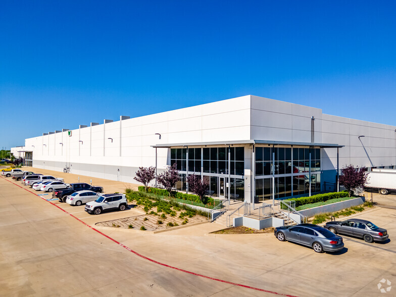 Dallas (Lion Country) 