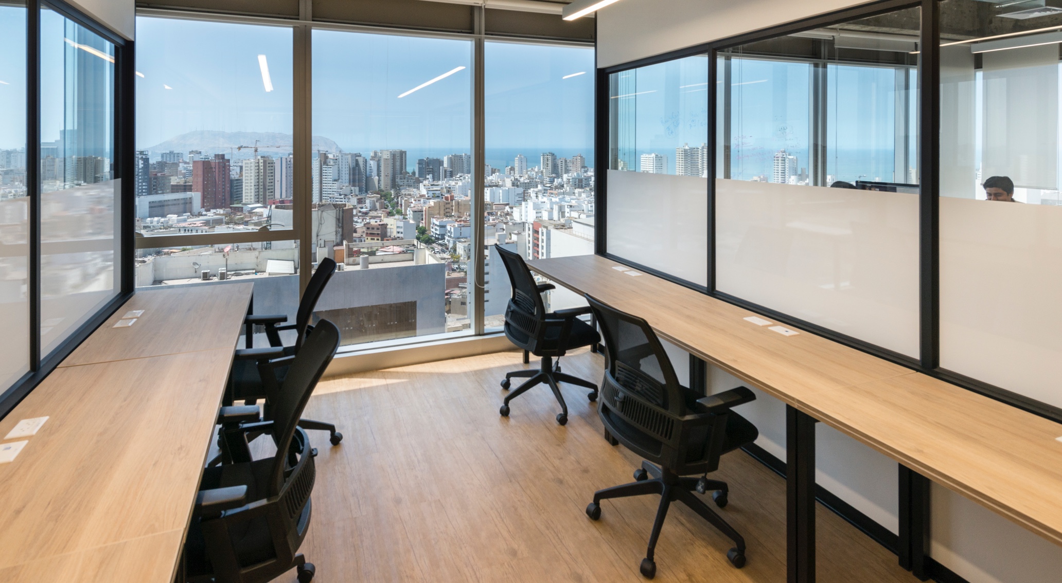 Pardo photo 2