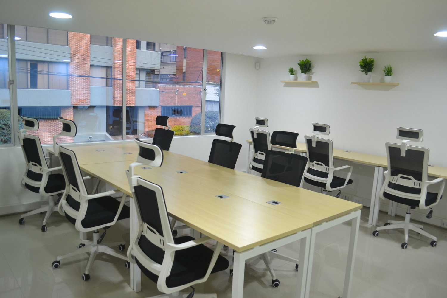 Green Work photo 7