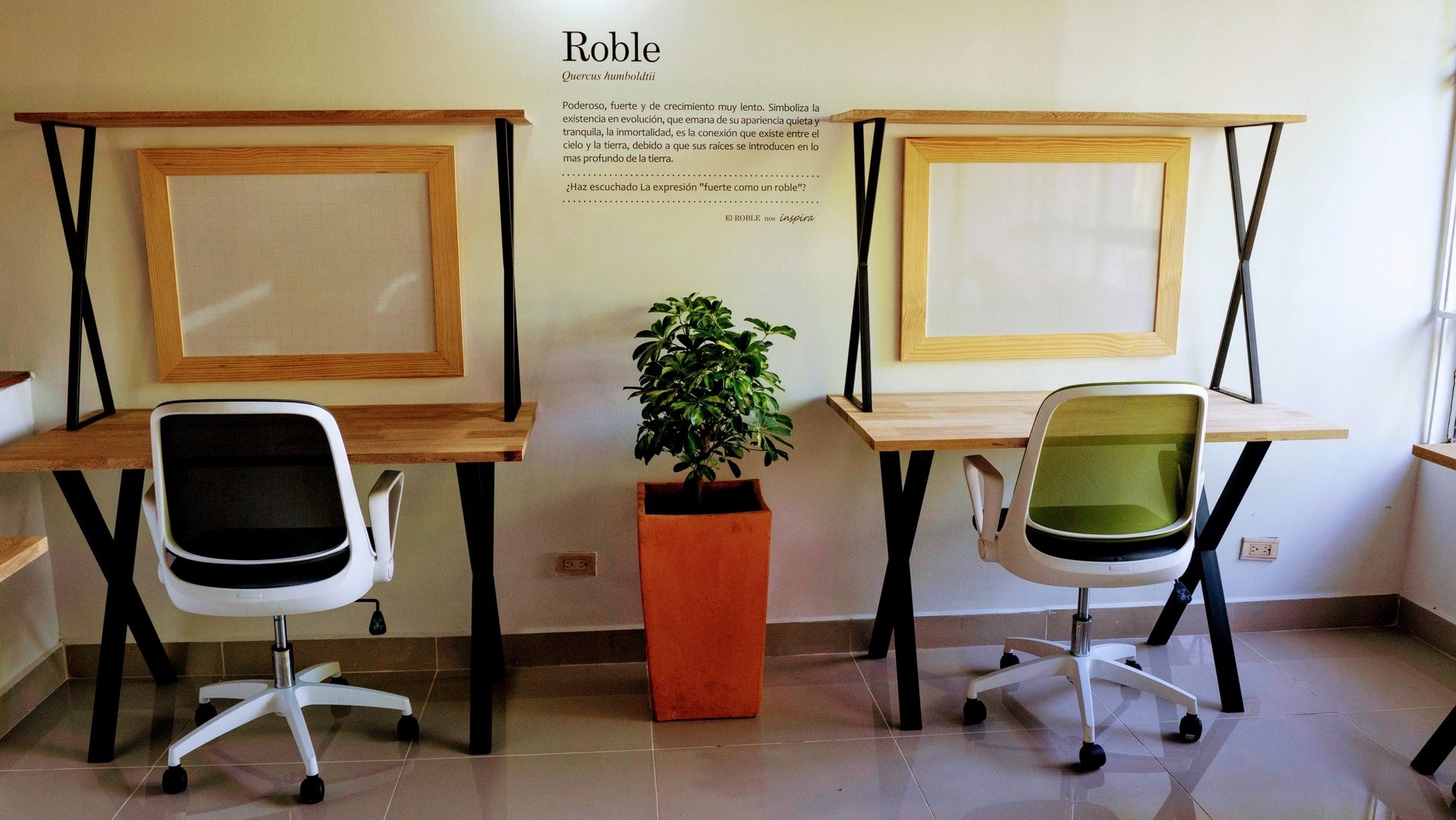 CoWorking Inspires photo 5