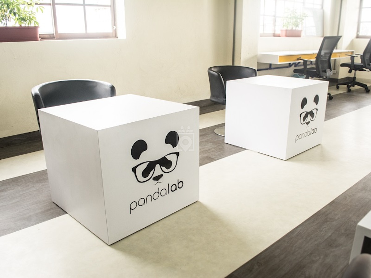Panda Lab photo 7