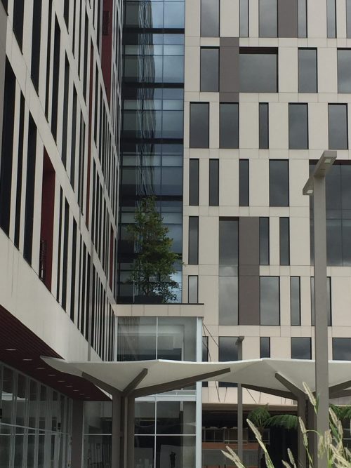 Business Center Central Point photo 6