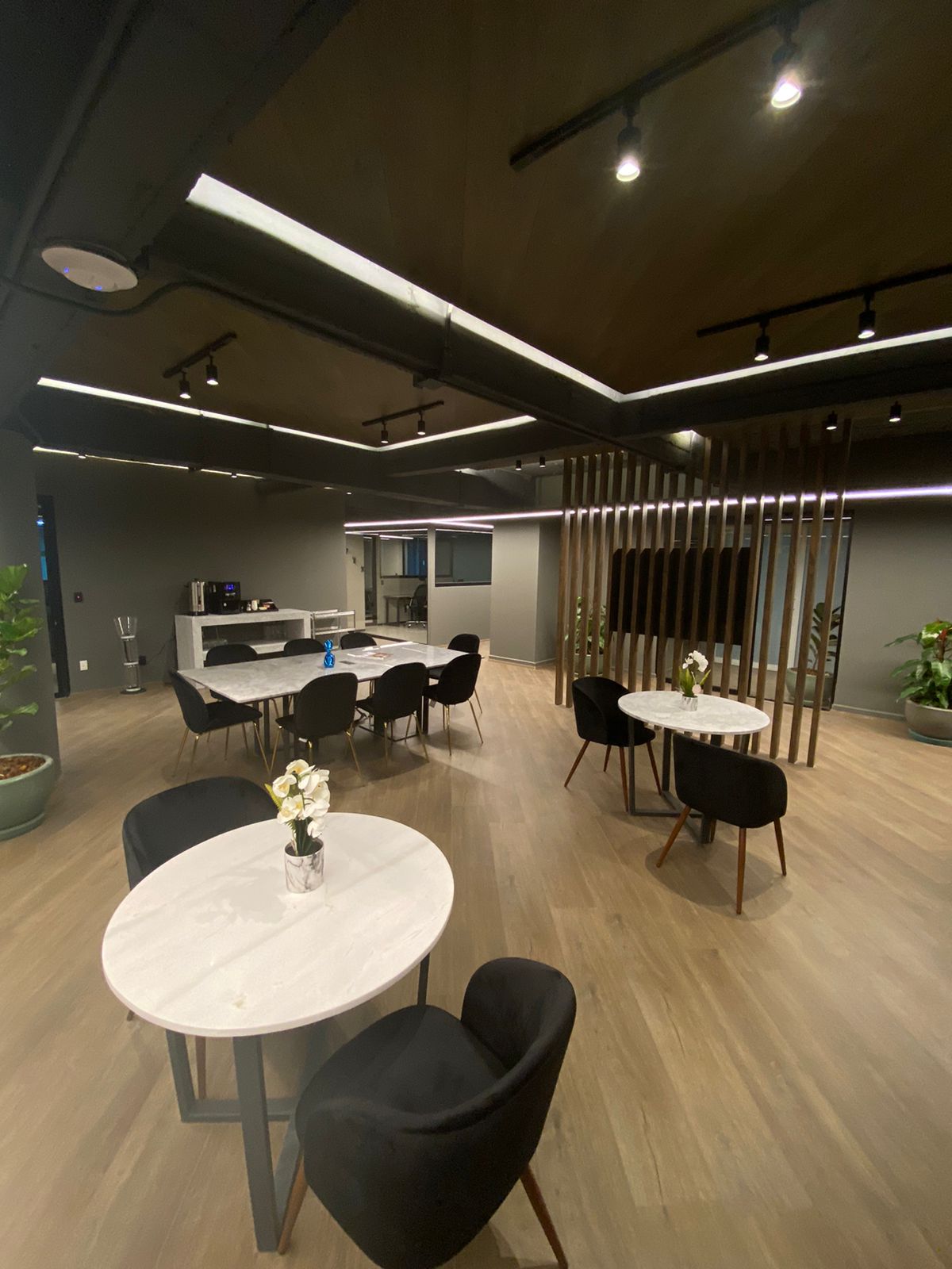 Reforma Anzures photo 4