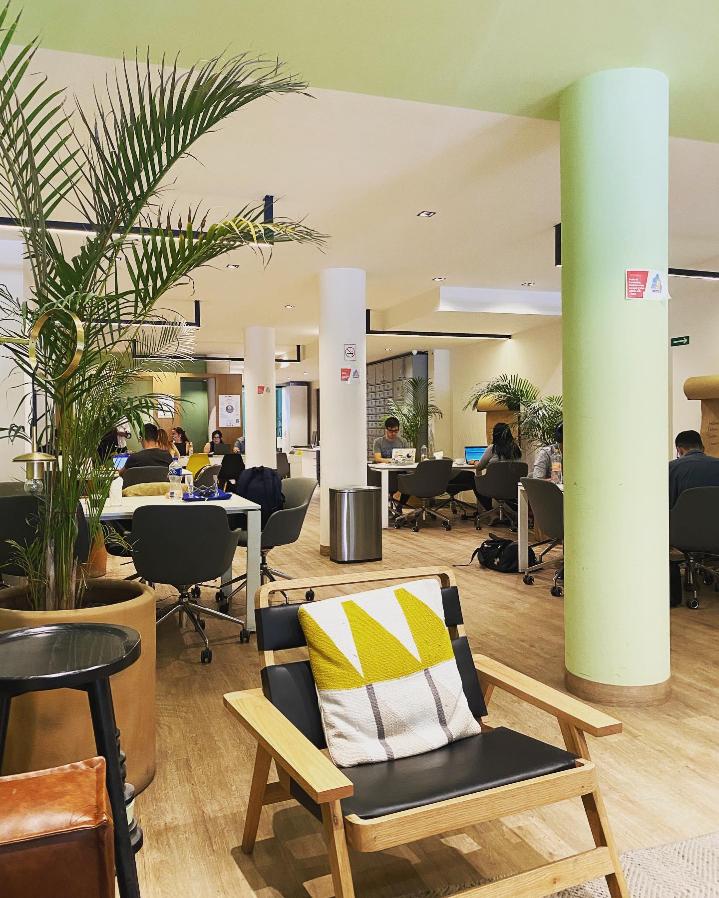 Openhub photo 12