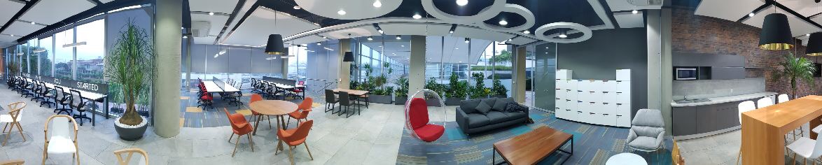 The Nest photo 7