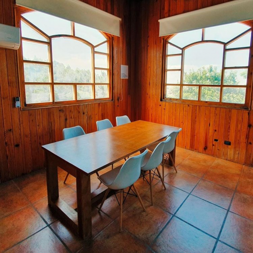 The Tree House photo 5