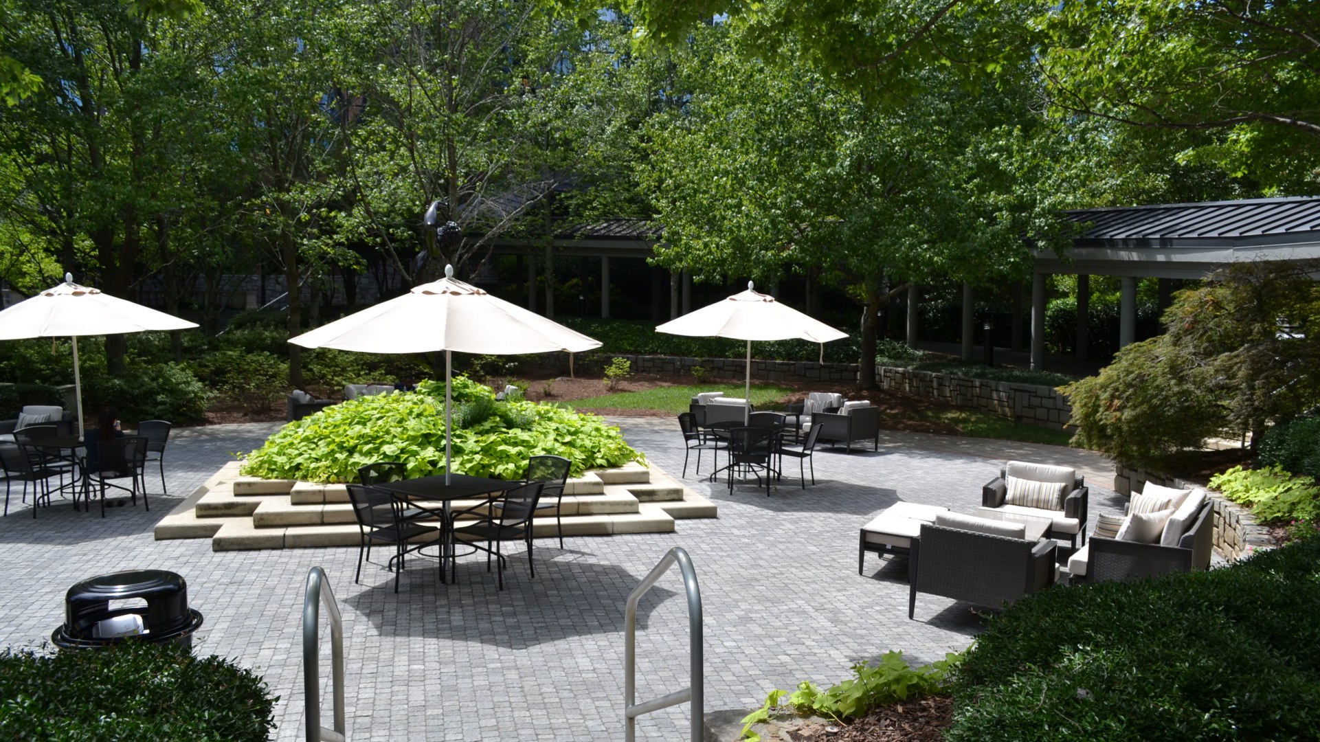 Dunwoody photo 9