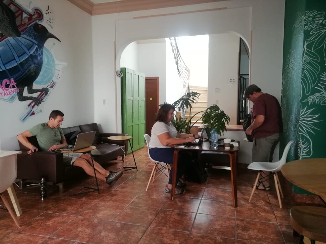 Campus Oaxaca photo 2