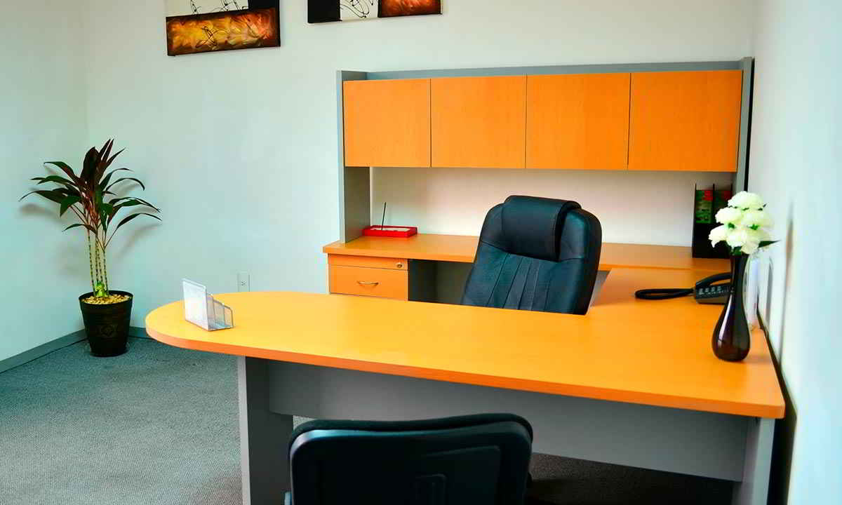 Polanco Business Center