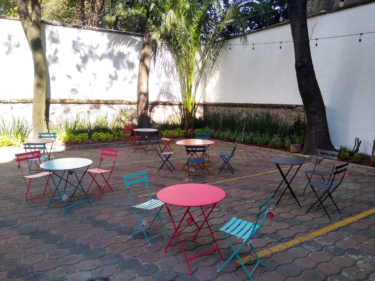 Mexico City  photo 4