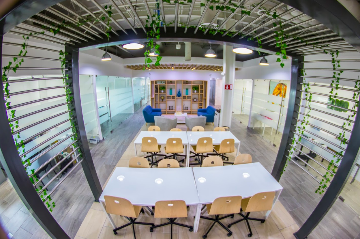 Solarium Business Center photo 6