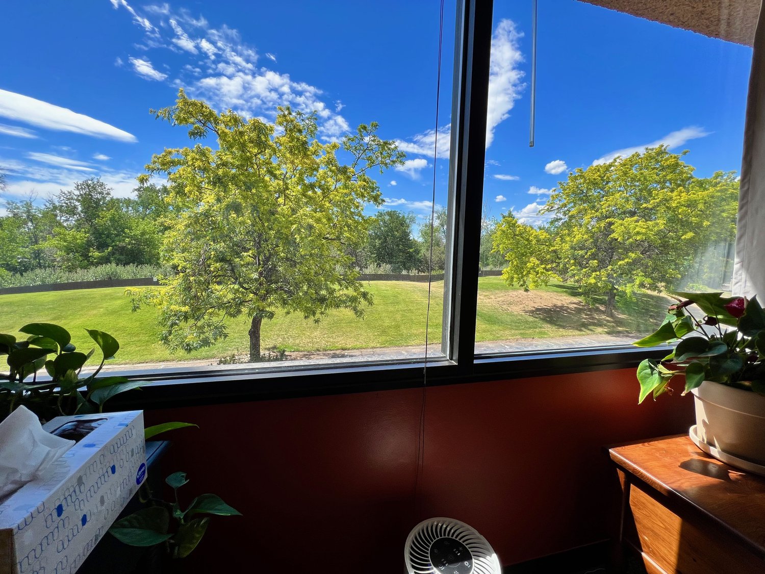 1650 38th Street photo 4