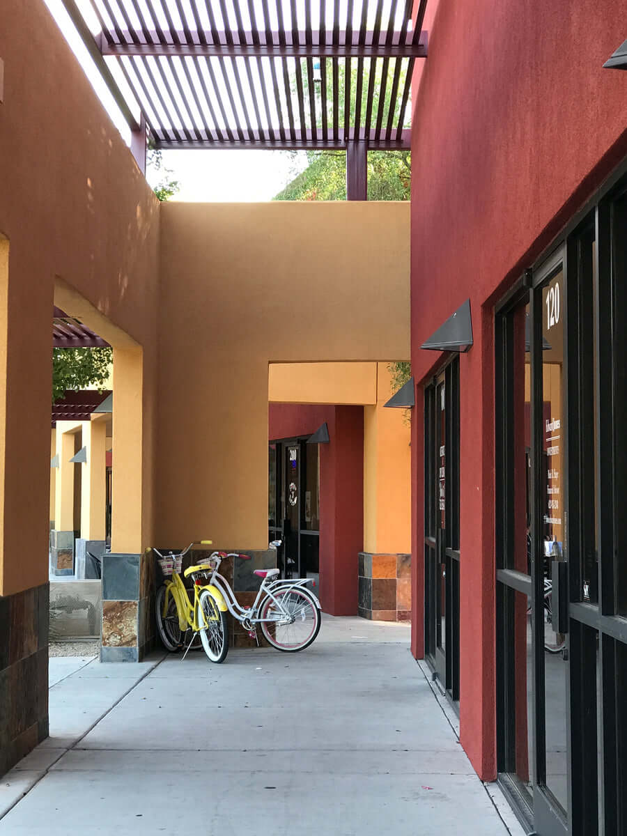 Phoenix photo 8