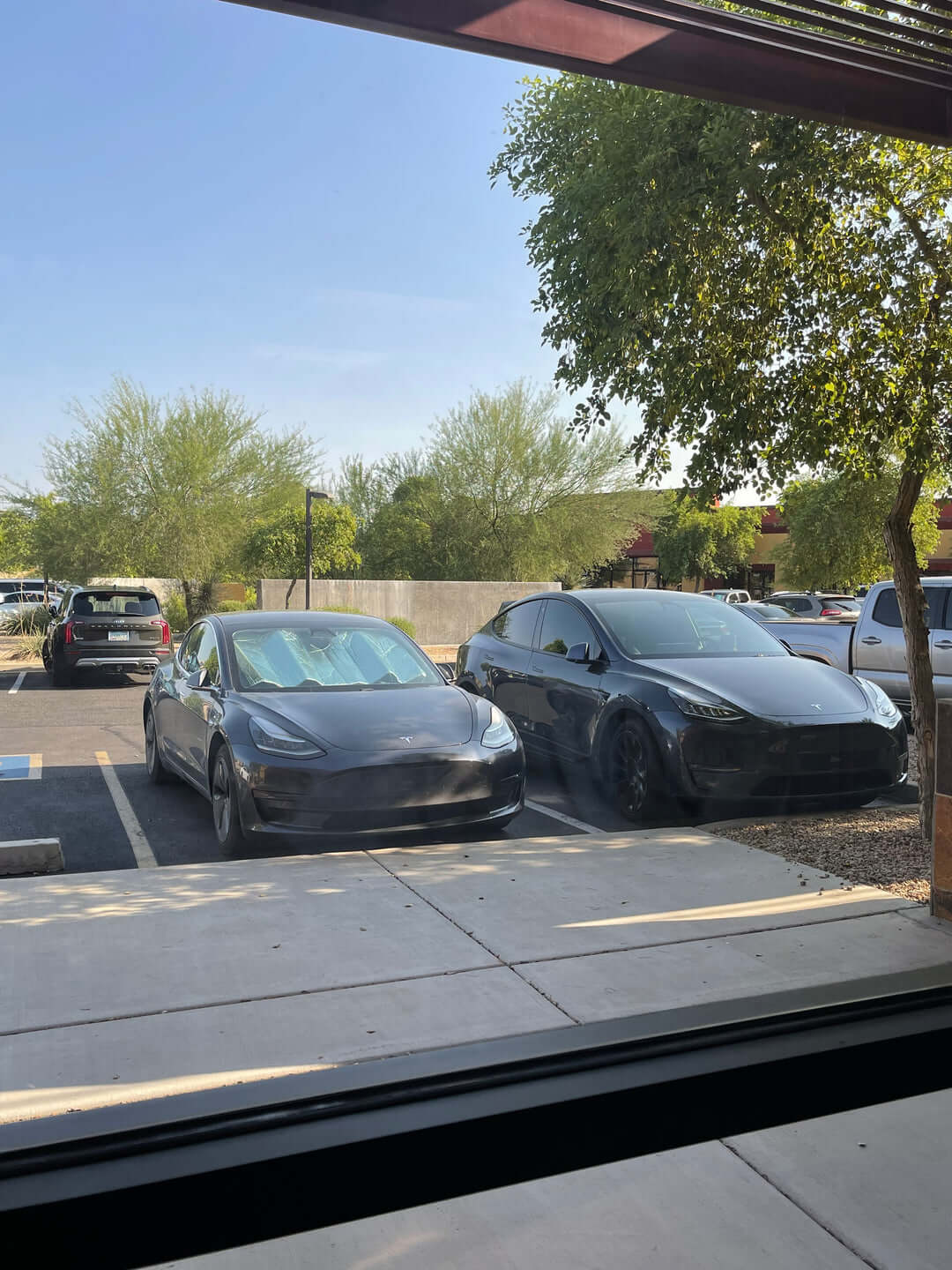 Phoenix photo 9