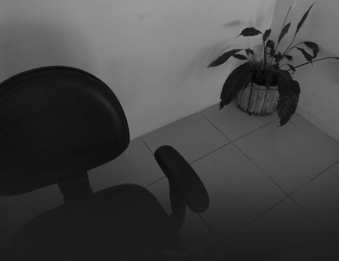 Brasília Office photo 3