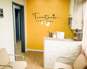 The Coworking Territory