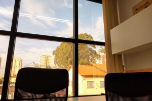 Oddball  photo 5