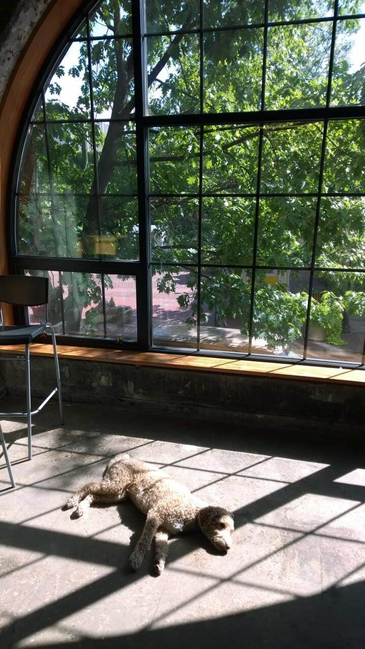 Eugene photo 6