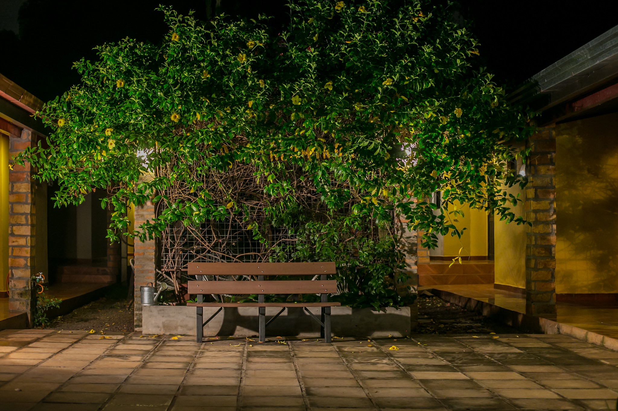 Casa Alamanda photo 7
