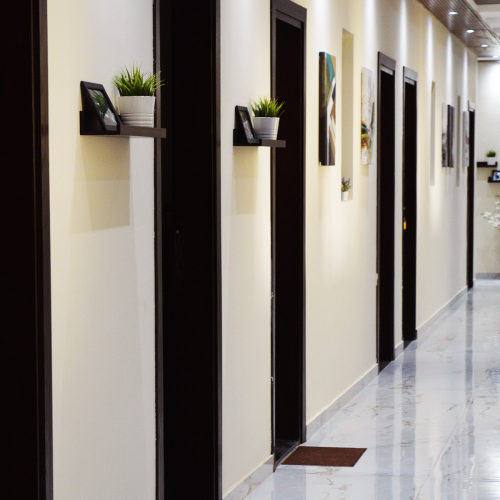 El Sheikh Zayed photo 5