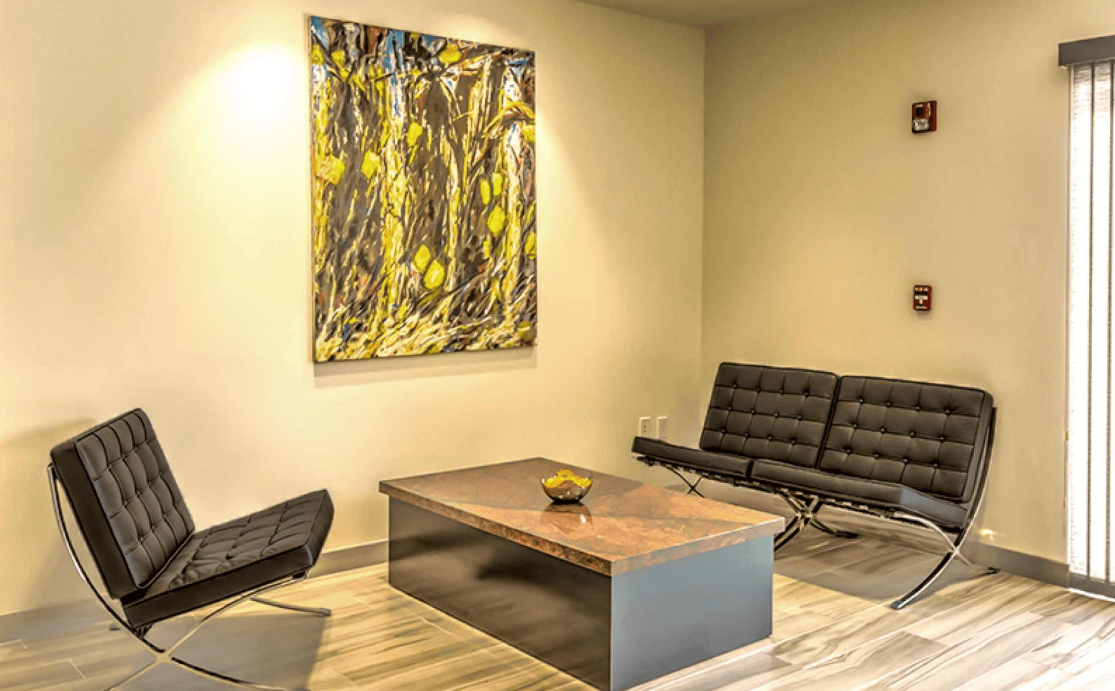 PALM DESERT photo 5
