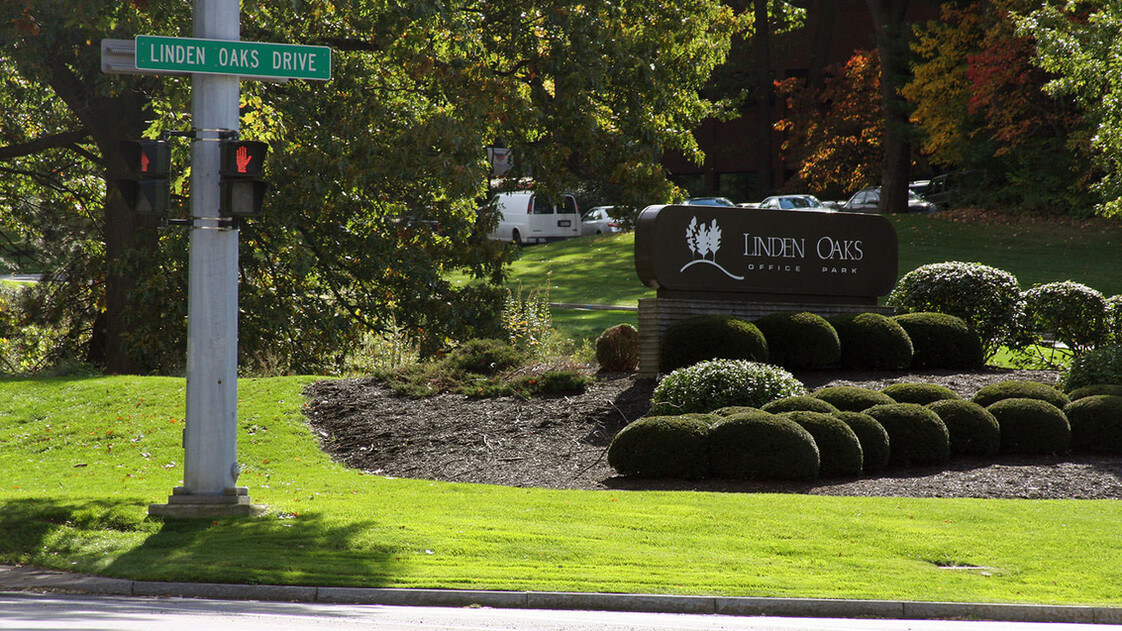 Rochester photo 9