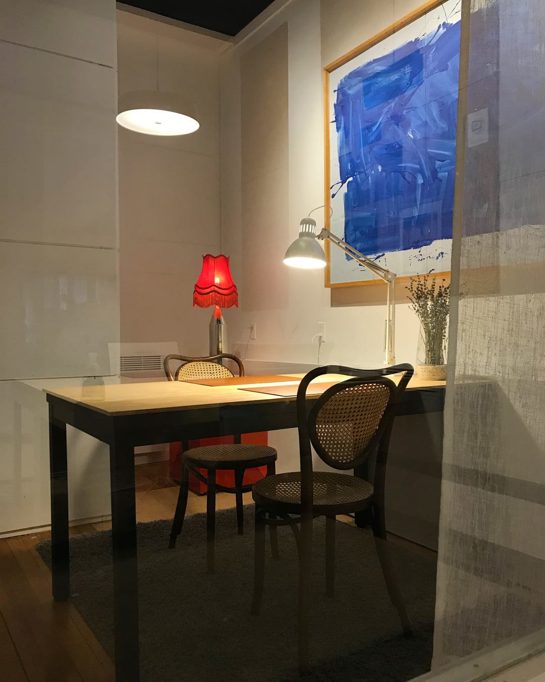 230 Rue Alexandre photo 3