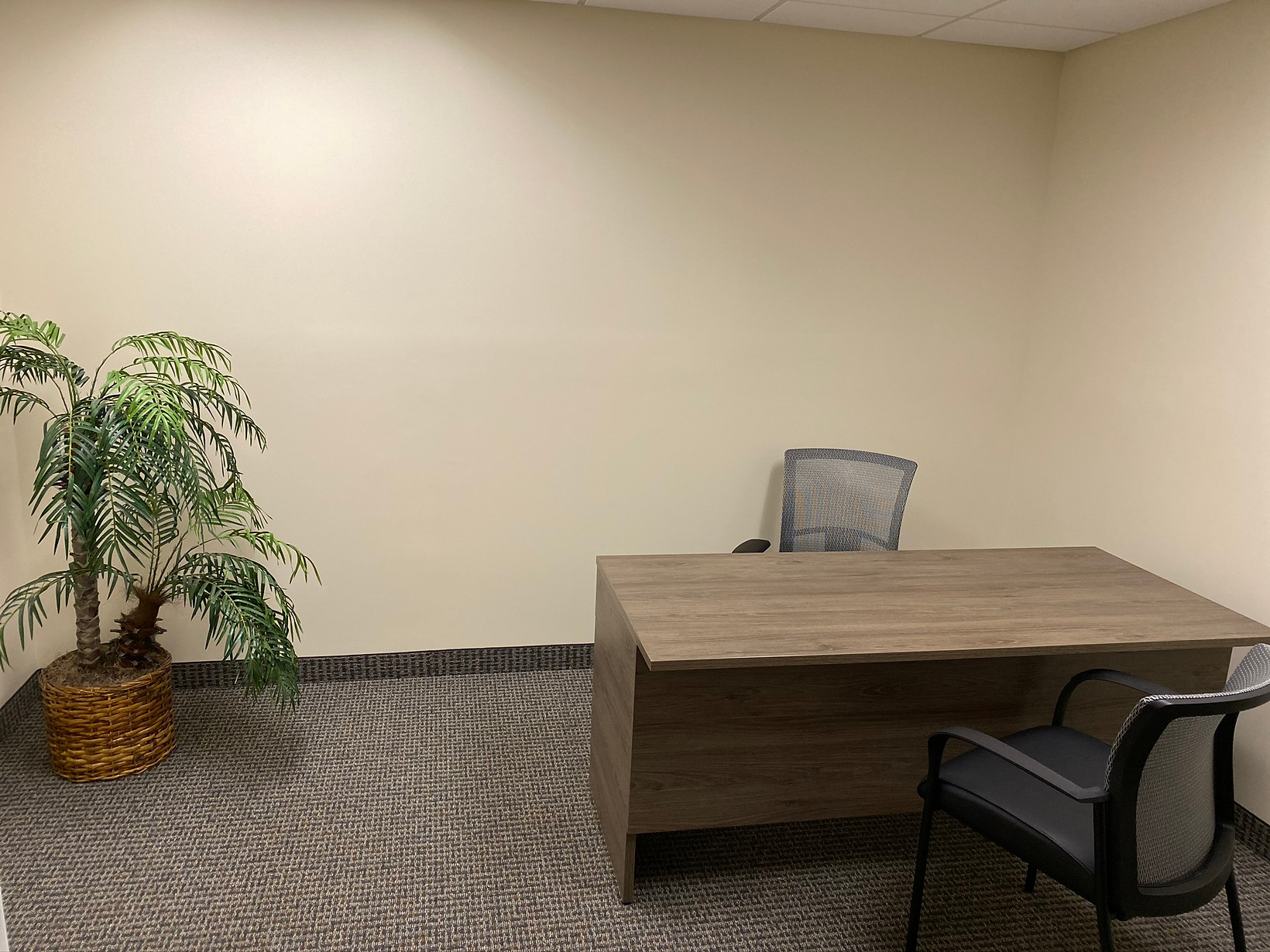 Transatlantic Business Centers photo 6