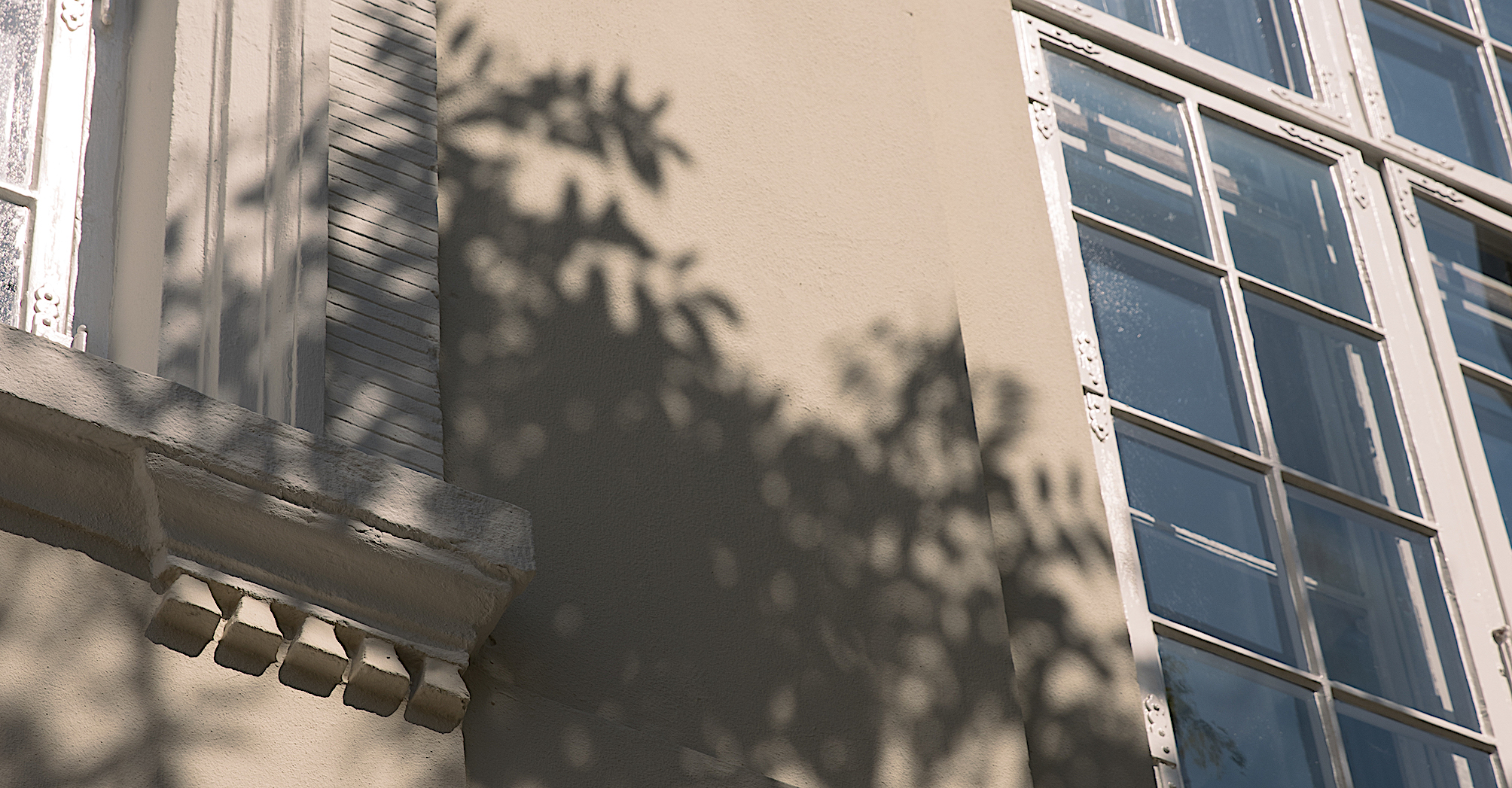 Harsdorff's House photo 2