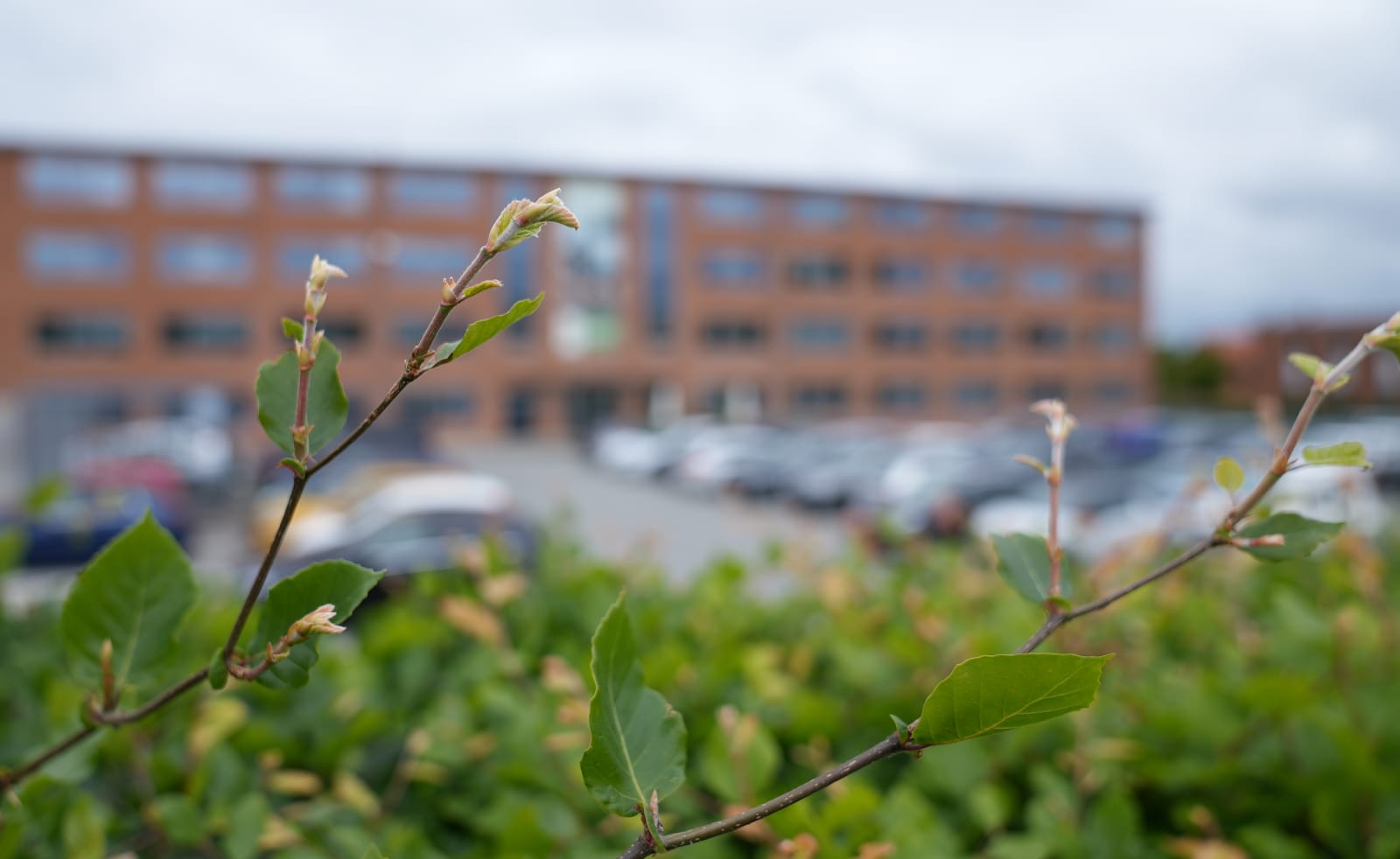 Sønderhøj 9 photo 8