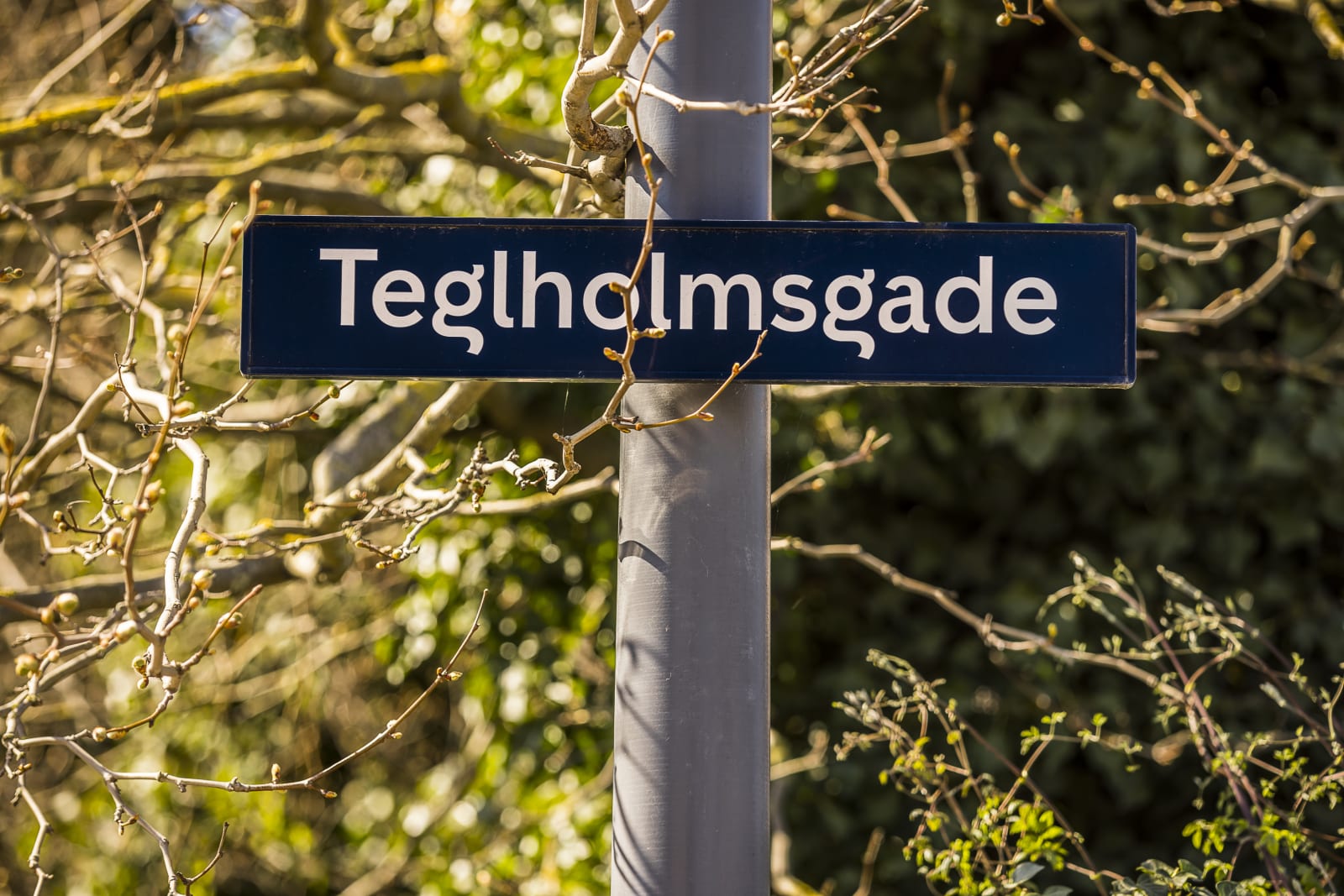 Teglholmsgade photo 6
