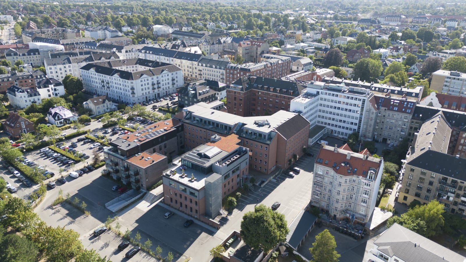 Helleruphus photo 3