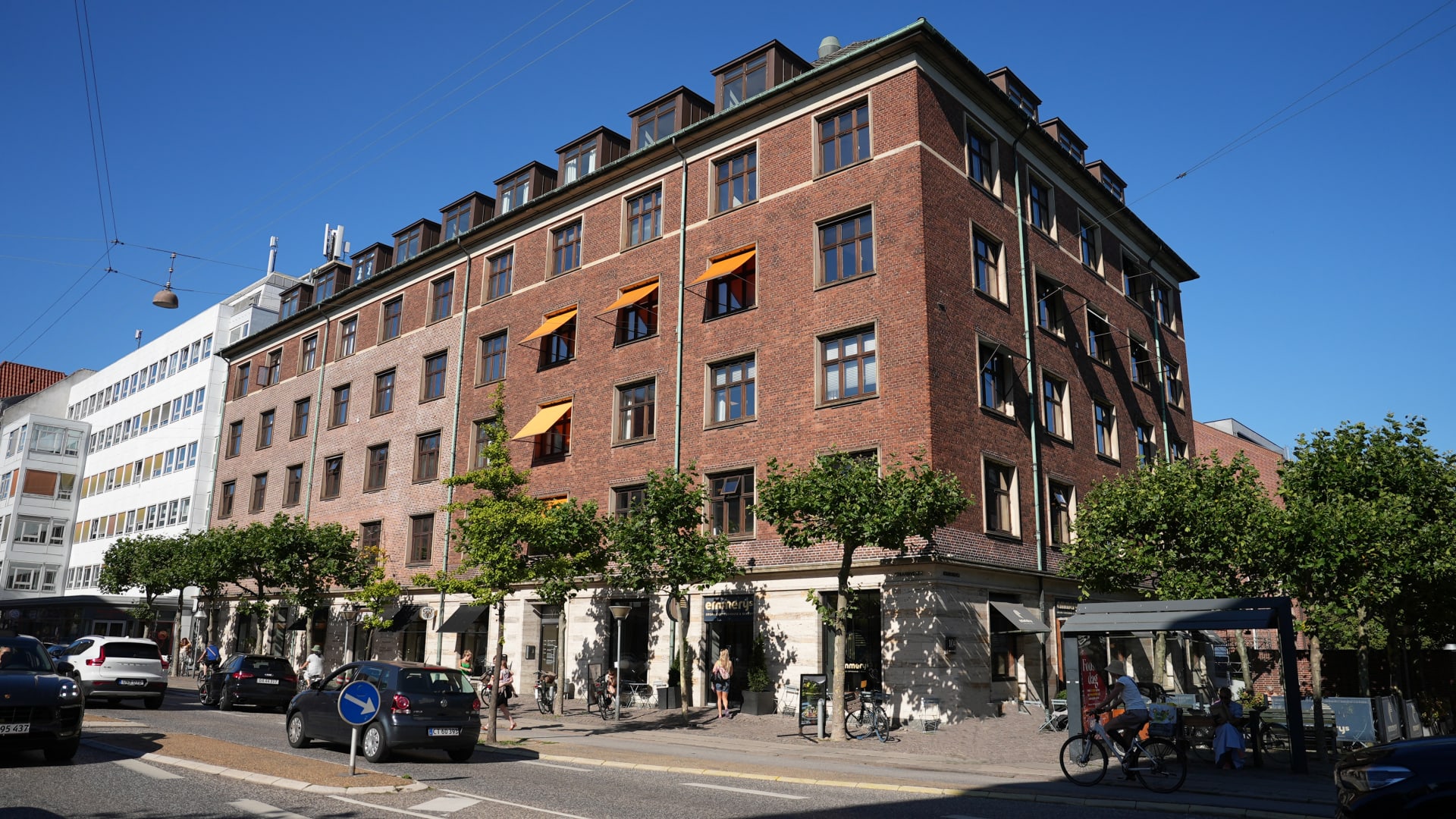Helleruphus photo 7