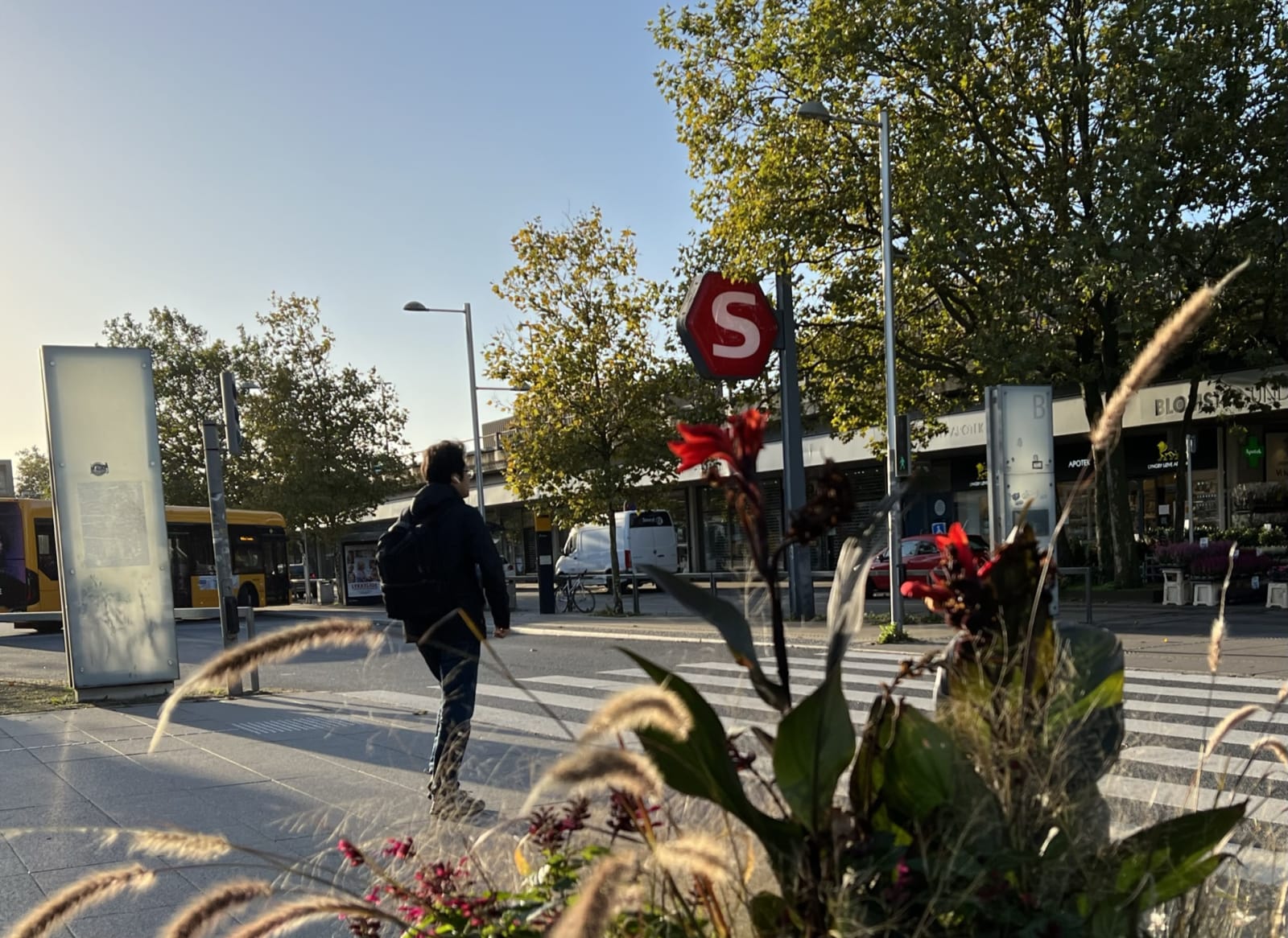 Svoringården photo 2