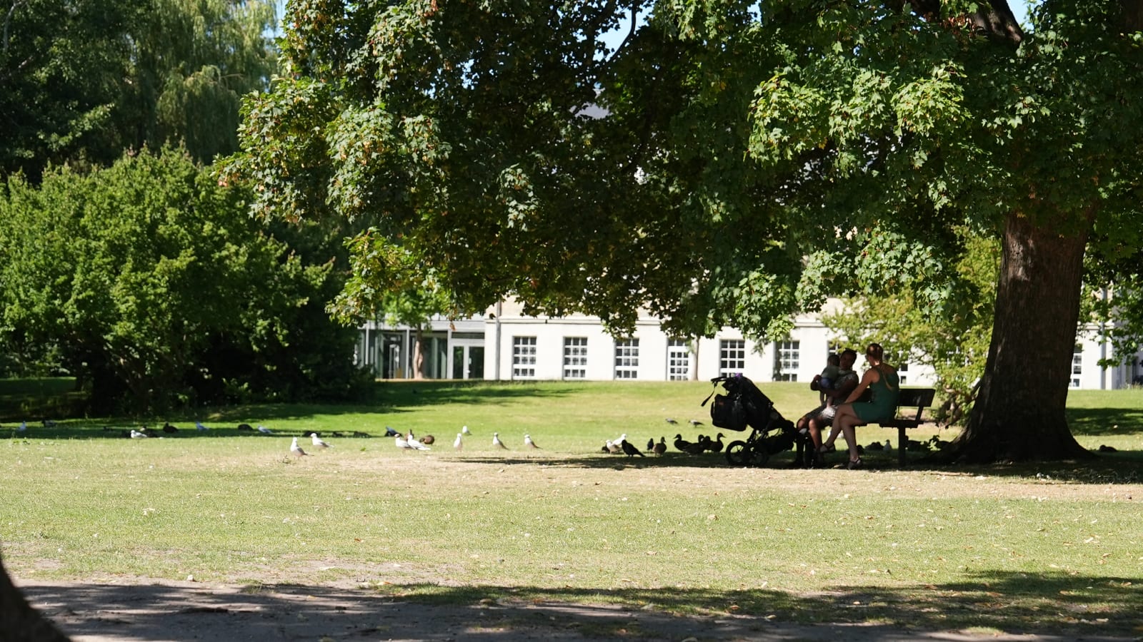 Svoringården photo 5