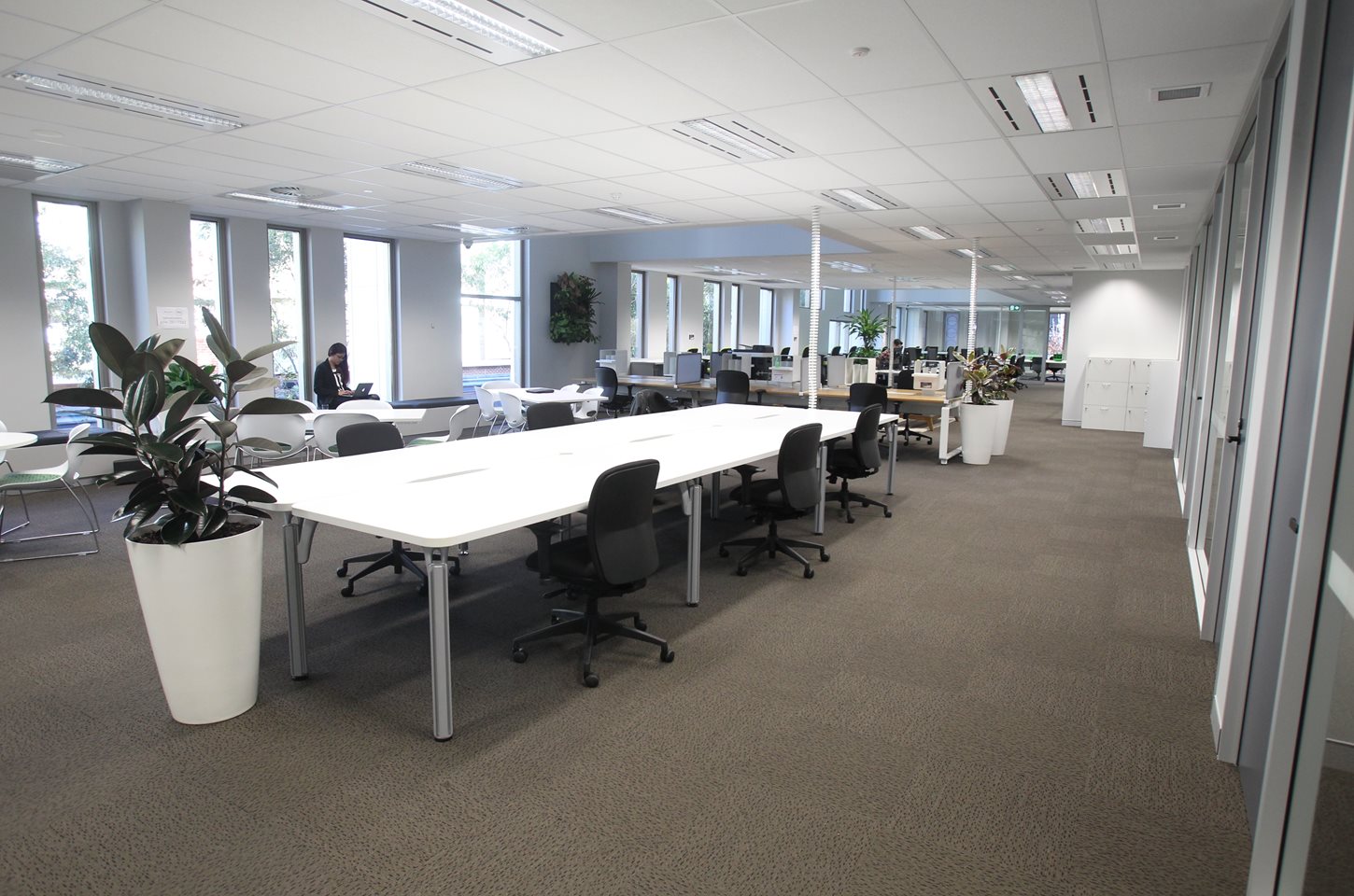 ROUSE HILL photo 6