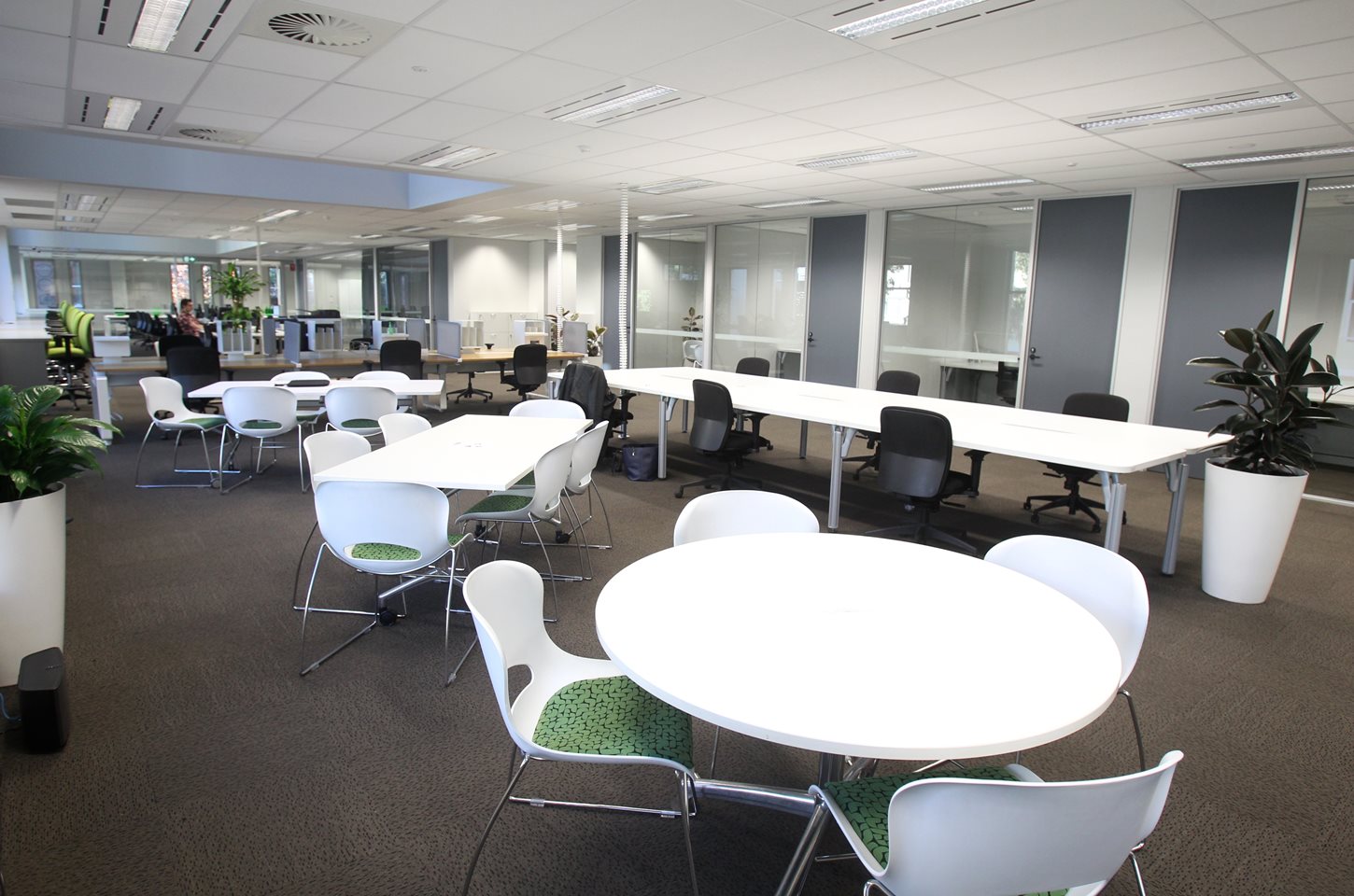 ROUSE HILL photo 8