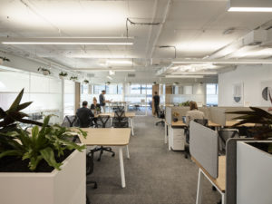Hub Wynyard photo 4