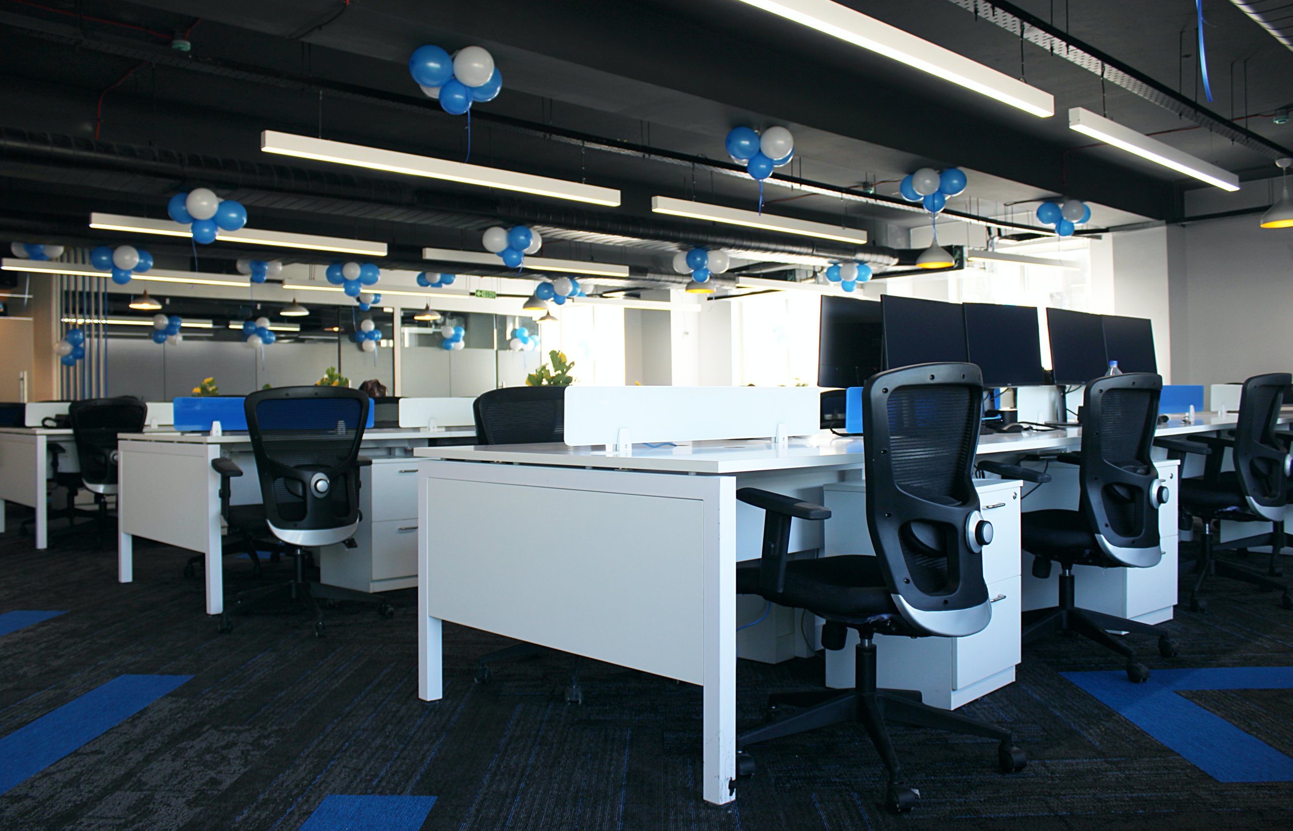 Indiranagar Workshaala Argus