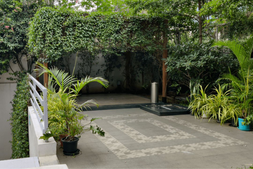 Edge photo 2